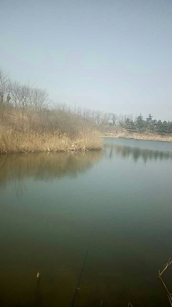 唐岛湾公园3号门