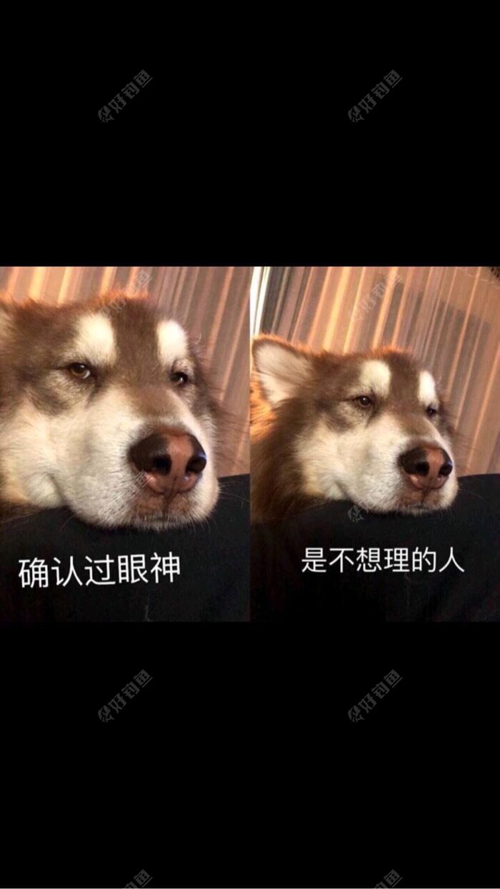 NRBQACCU.jpg