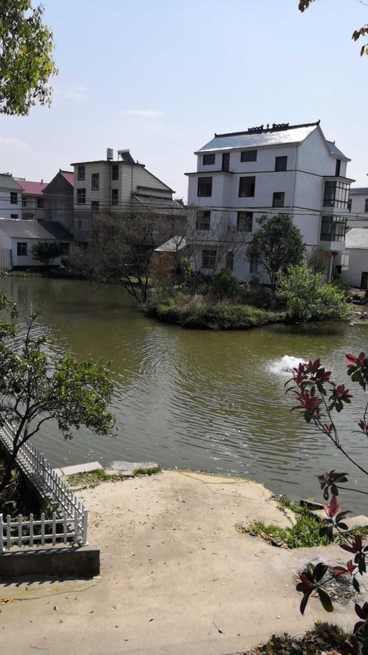 上塘周村目勺塘钓场