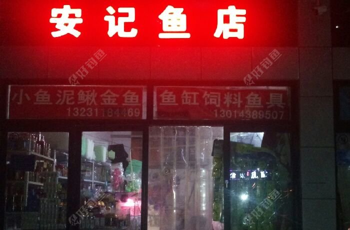 安记鱼店