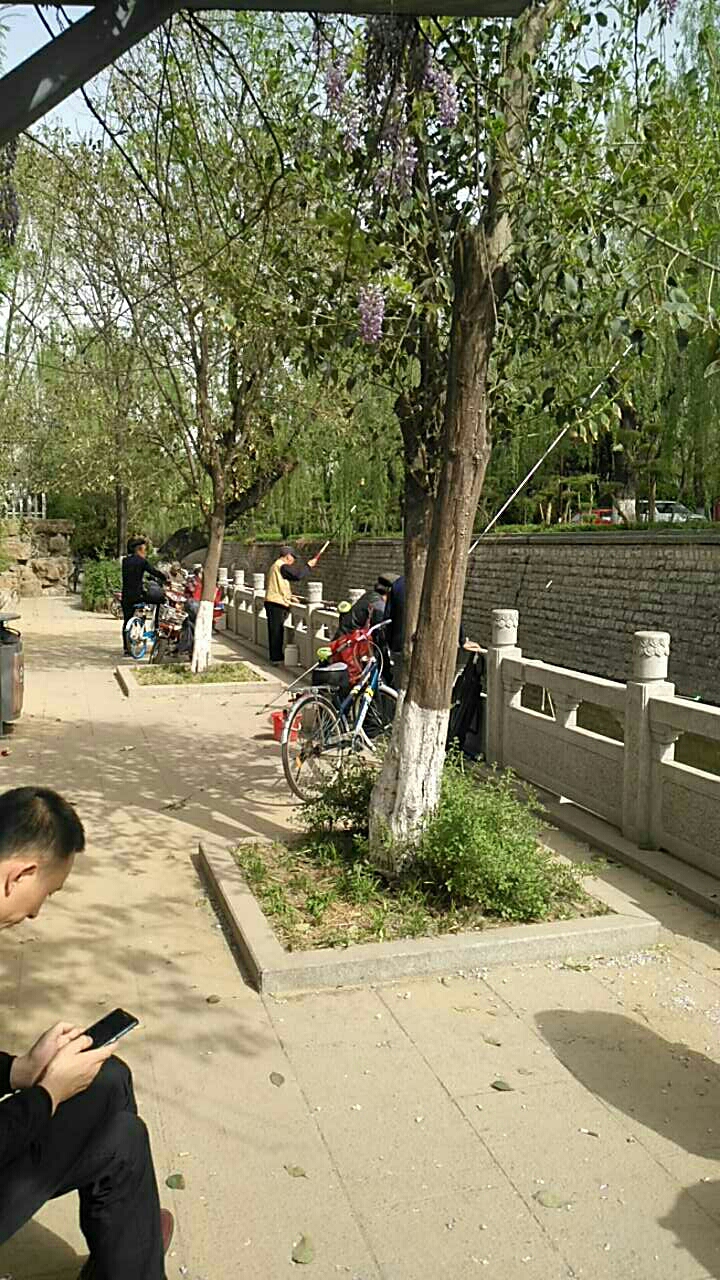 大明湖北护城河