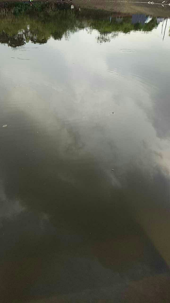 浦江后虎水库休闲垂钓中心