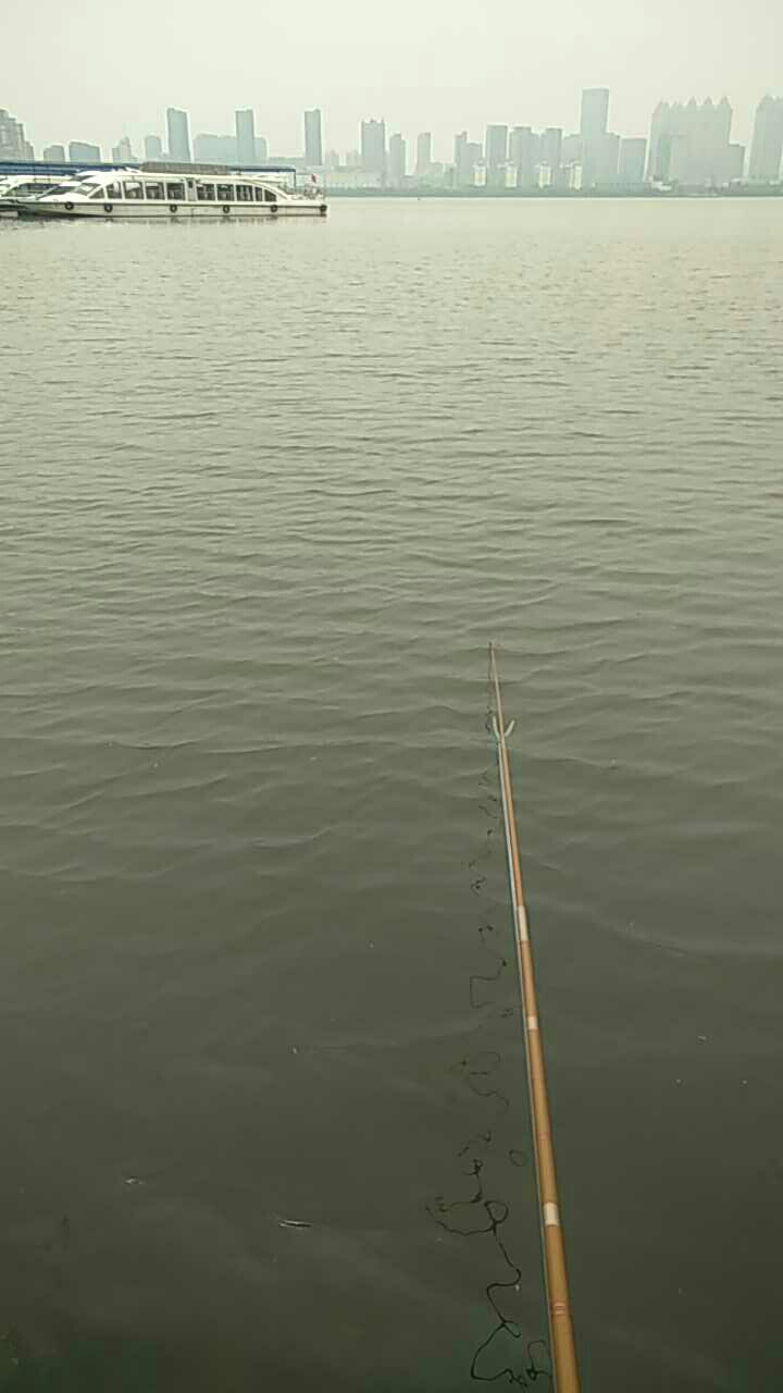 武汉市洪山区沙湖大桥