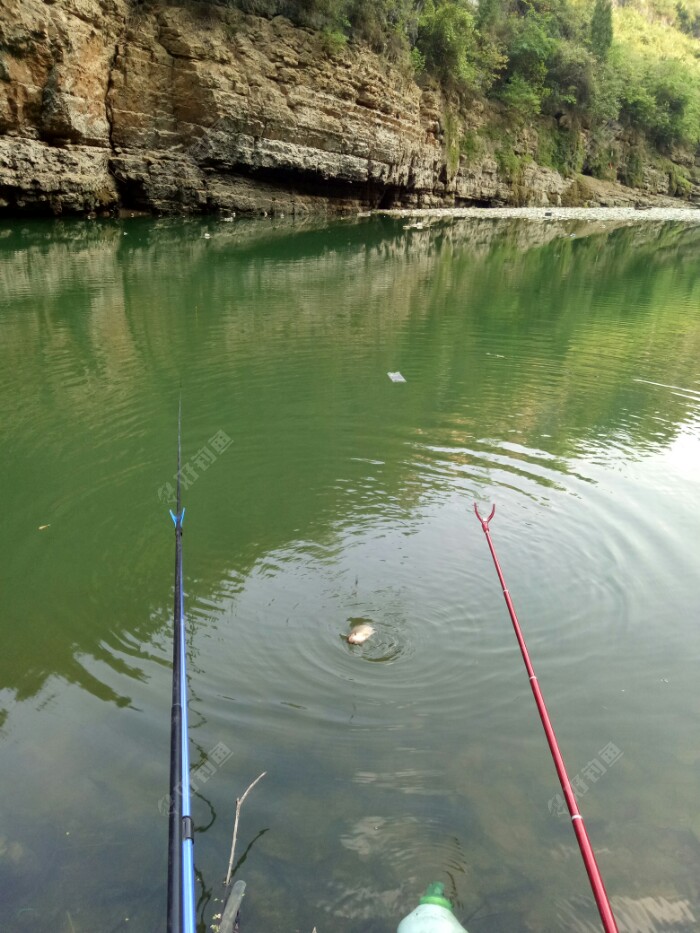 我的左边是五米四,右边是四米五,吃的是短杆。这里地形复杂,左边较深,右边较浅。
等待第一杆是比较辛苦的,两小时多点。
这一次我打的窝子,还是自制酒米与麦子。