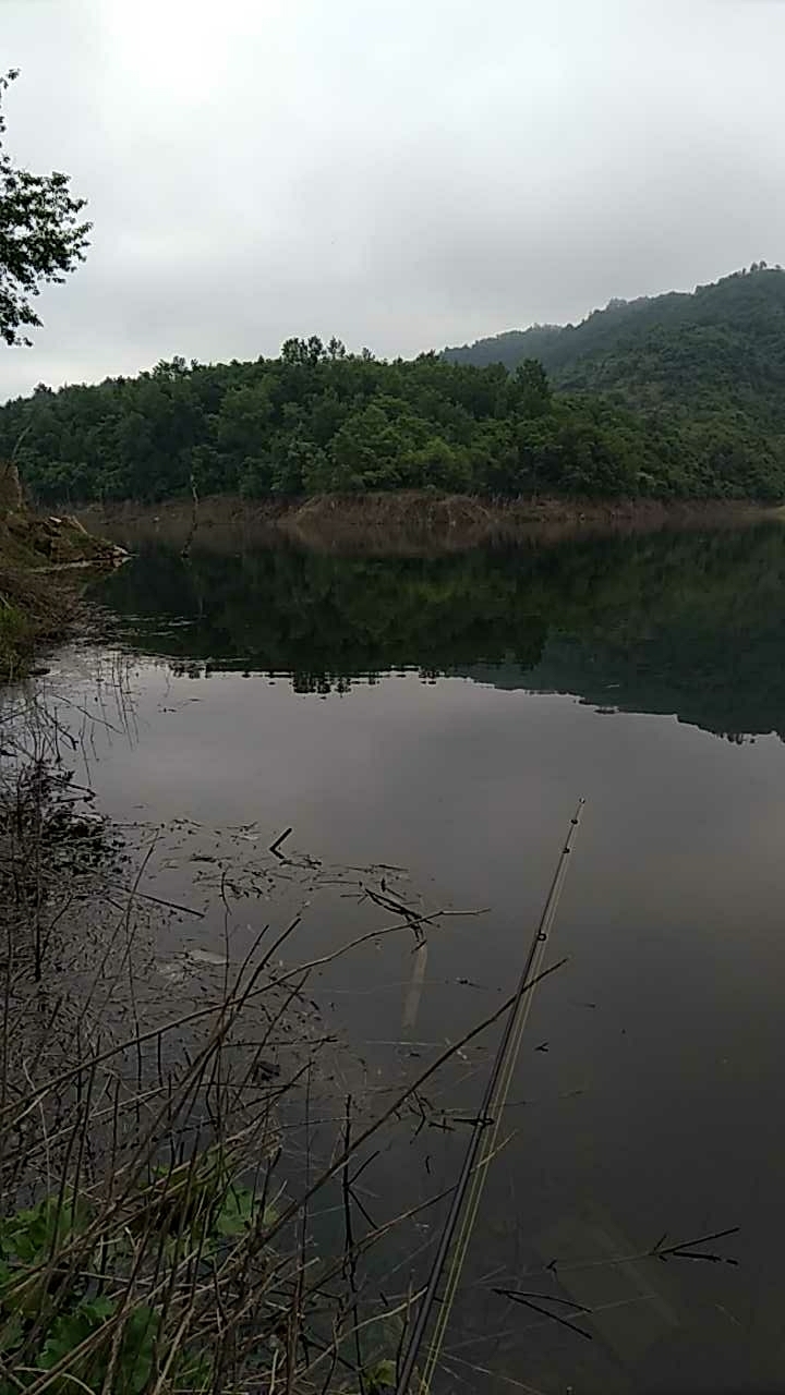 竹山上庸河流