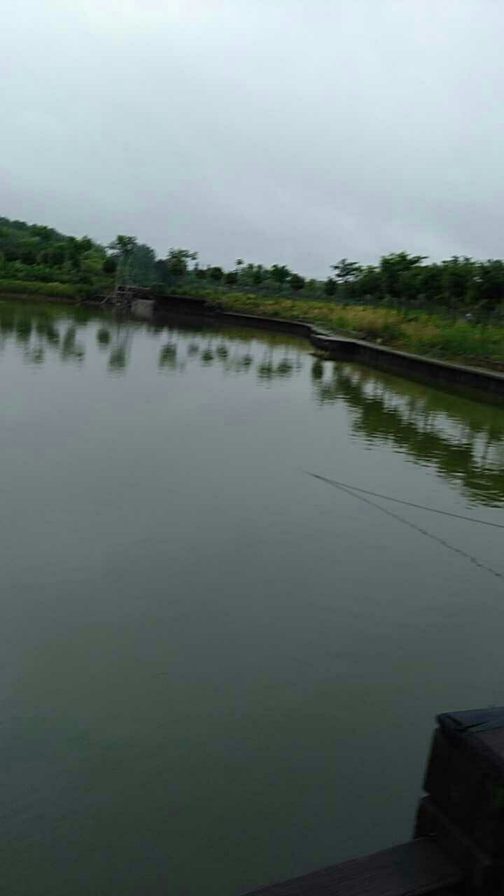 蓝山湾垂钓中心