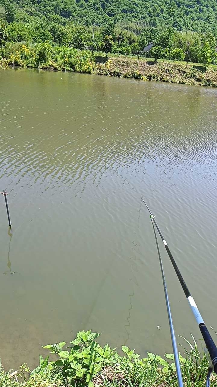 蟠龙特色生态垂钓