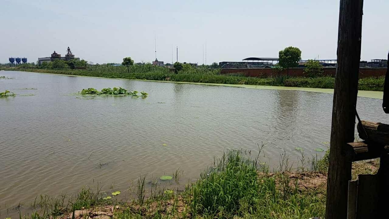 北湖雅聚半野钓场