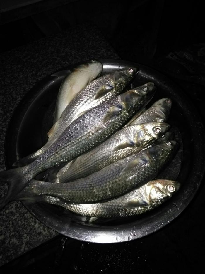 抽象画廊矶钓场