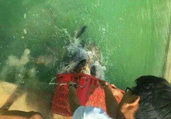 黄河彩虹谷钓鱼场