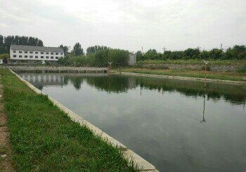 古薛河垂钓中心