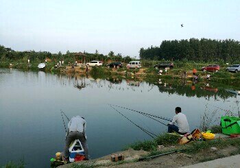 曲梁孙庄大物钓场