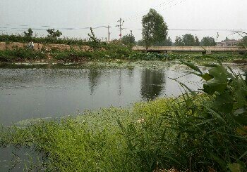 韩寺镇瓦灰郭村