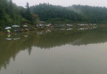 钓鱼山庄垂钓场