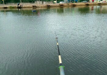 元江西庄聚众鑫钓场