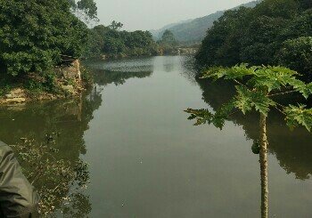 天乐钓鱼场二场