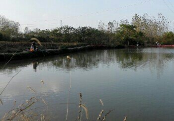 农埂生态农庄垂钓