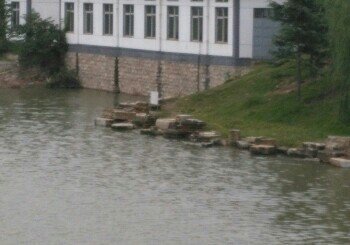 丁万河刘楼闸段