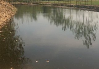 沙河钓鱼俱乐部