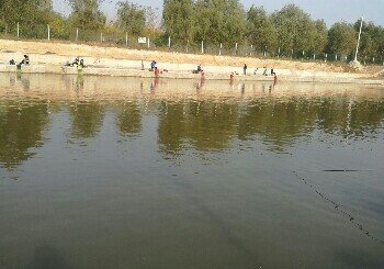 金玉满堂垂钓园