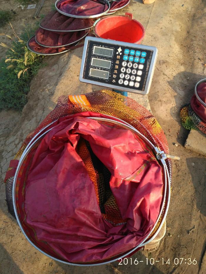 渔乐人生垂钓园