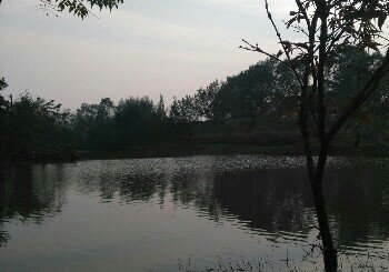 王守林野钓中心