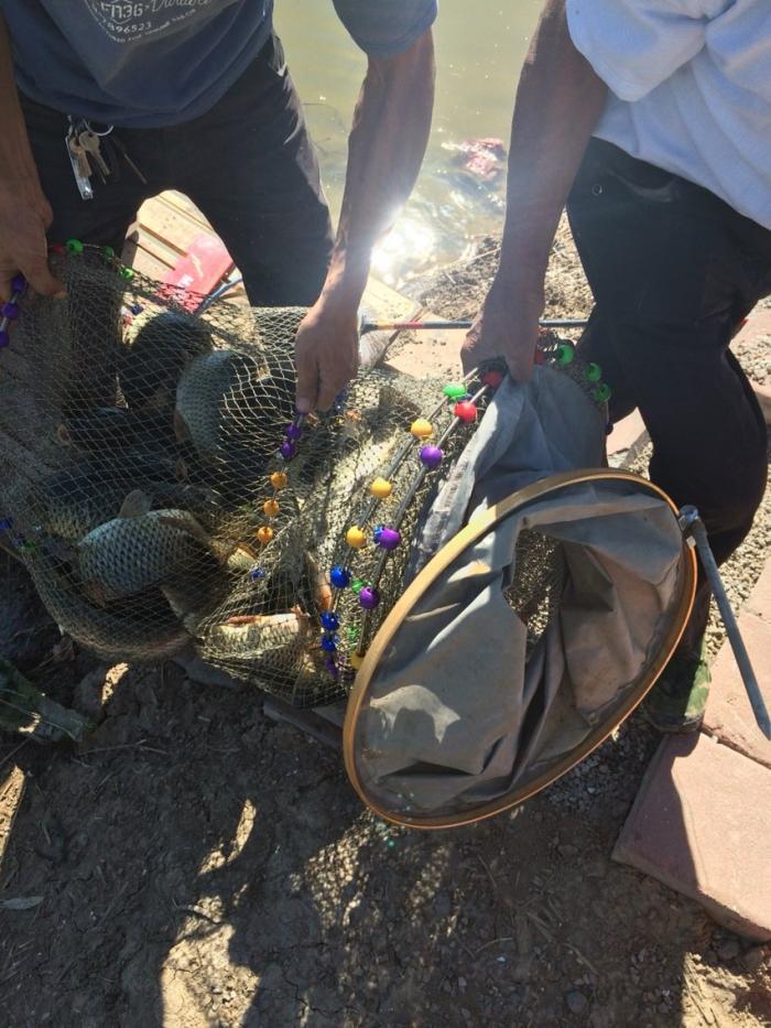 西中环生态垂钓园