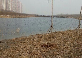 欣嘉园郊野公园