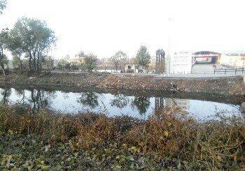 林黄渠大北农段