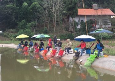 巅峰生态垂钓练杆塘