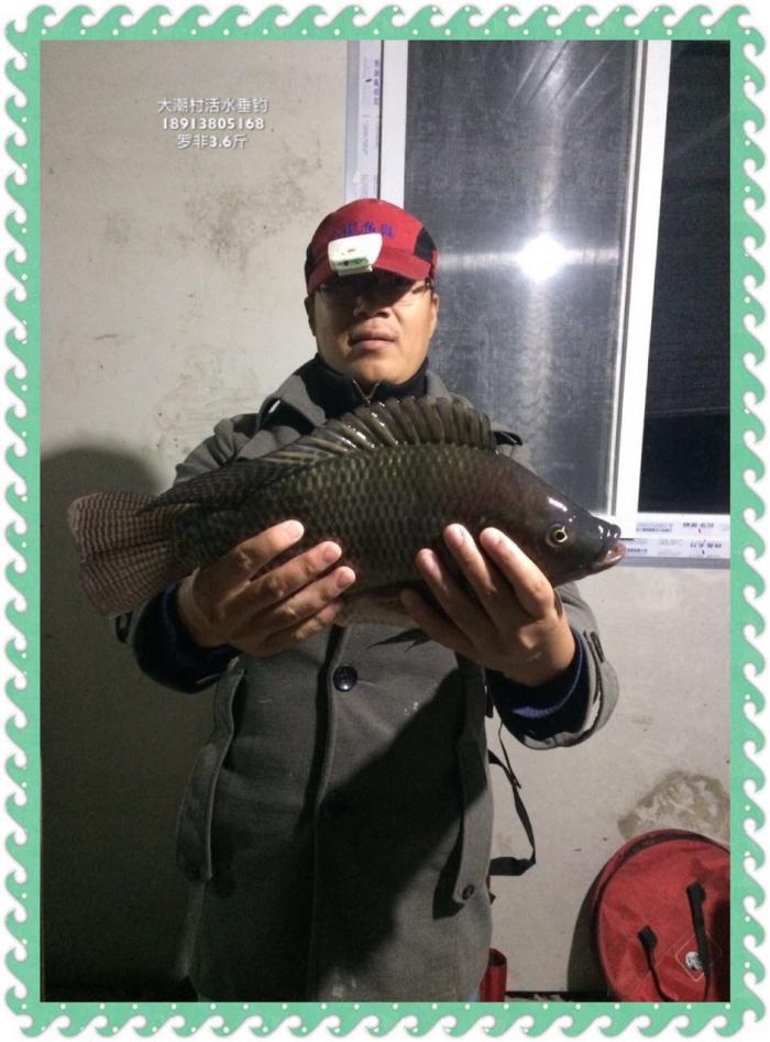 大潮村活水垂钓