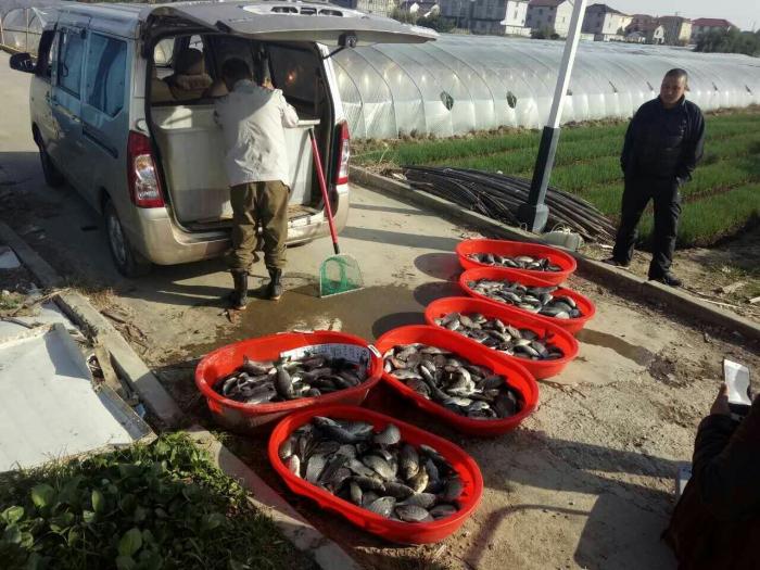 渔乐港垂钓农庄