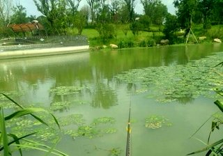 南泗塘河主河道