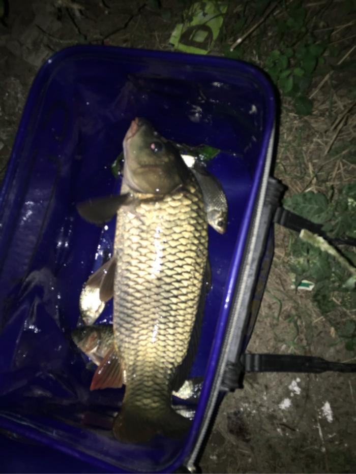 石湖荡港桥支流