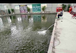 龙湖室内垂钓