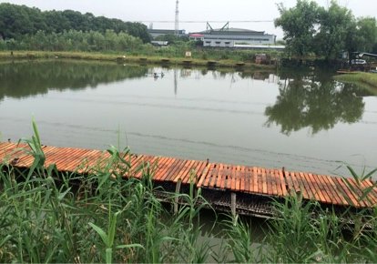 青浦徐径天天渔乐