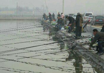 川沙钓友俱乐部