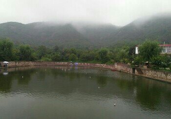 山南张庄钓鱼场