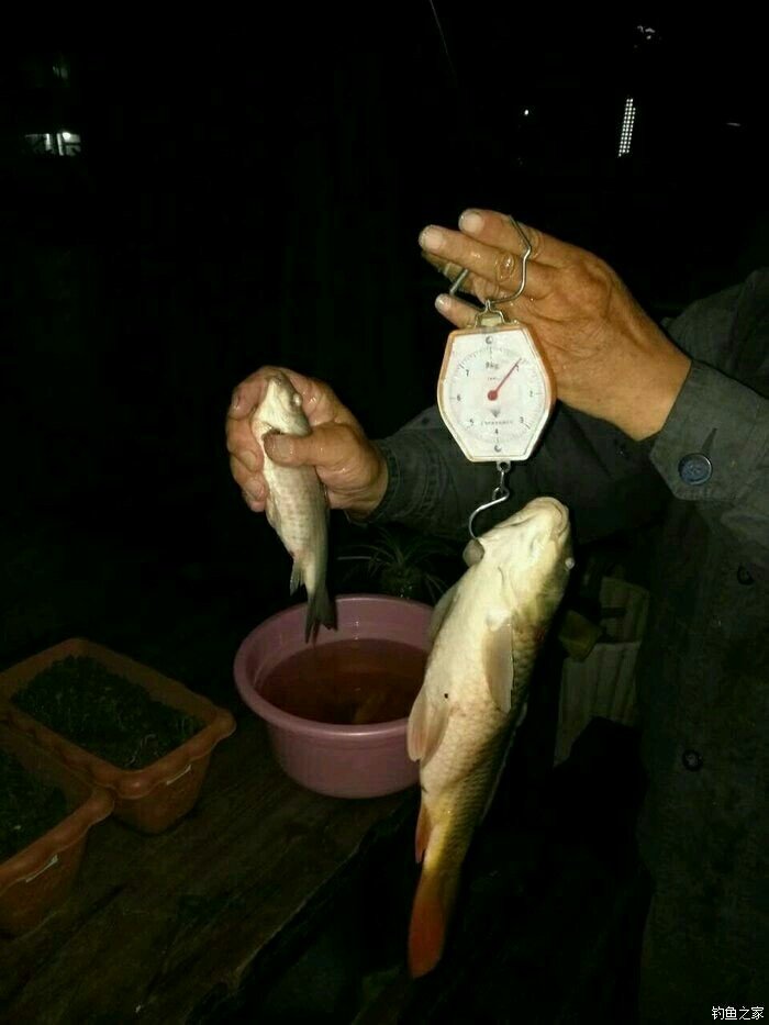 新槎浦丰华路桥