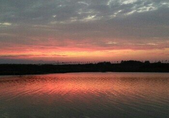大沽河李哥庄段