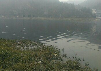 老灌河橡胶一坝