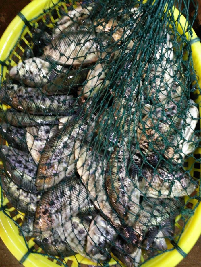 六源埭仙石钓场