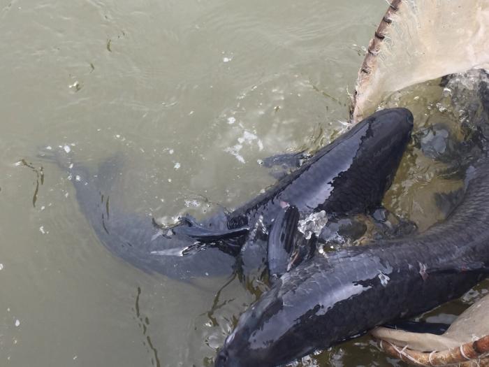 梅塘休闲垂钓山庄