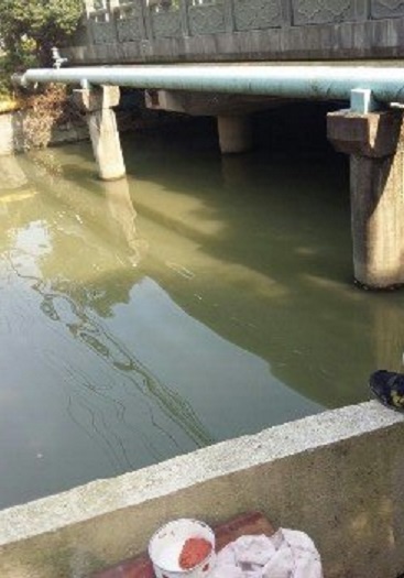 格兰春天门口野河