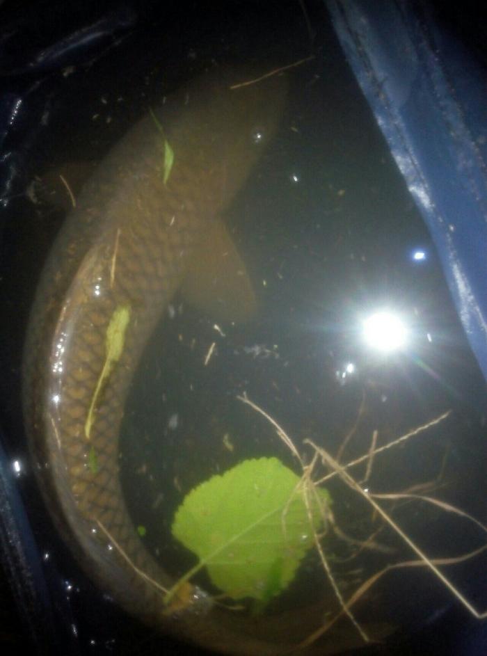 盐亭两河大河口