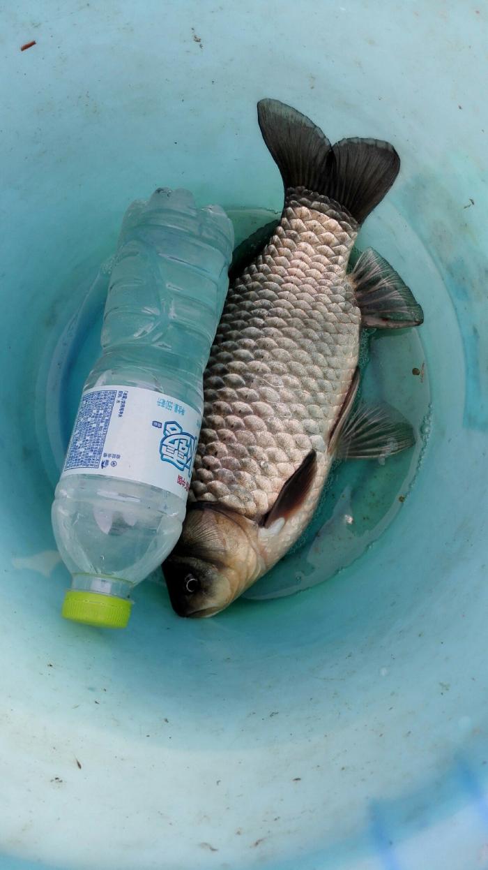 兴庄河木头沟段