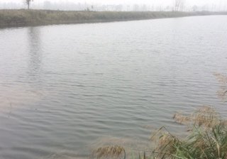 朱水河北李楼段