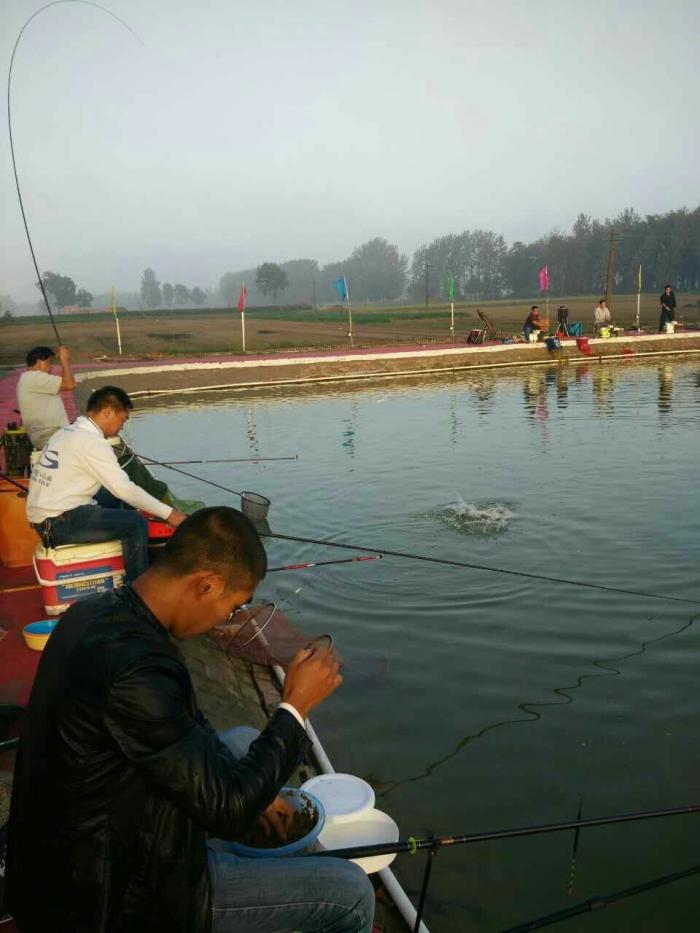 飞龙生态娱乐园