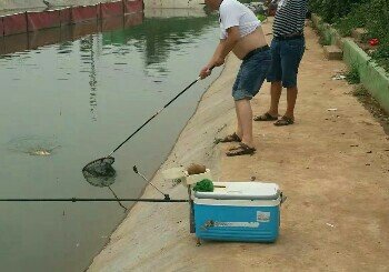 水北关阳华鱼塘