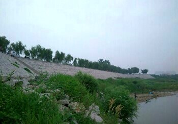 黄河母亲河公园段